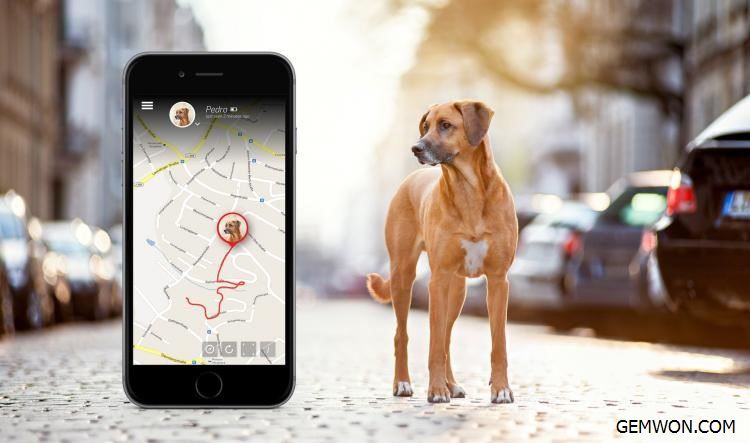 gps trackers for pets